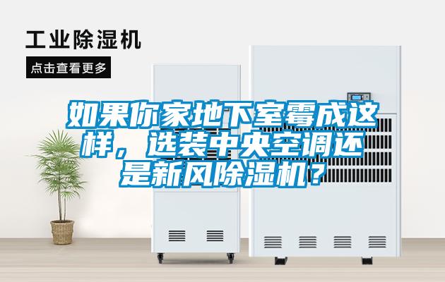 如果你家地下室霉成这样，选装中央空调还是新风草莓视频APP在线观看？