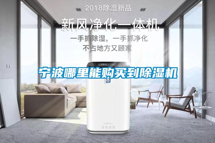 宁波哪里能购买到草莓视频APP在线观看