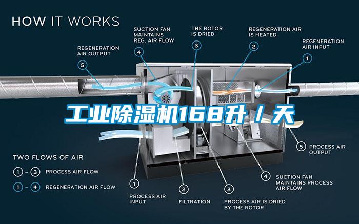 工业草莓视频APP在线观看168升／天