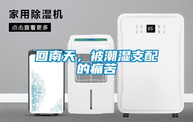 回南天，被潮湿支配的痛苦