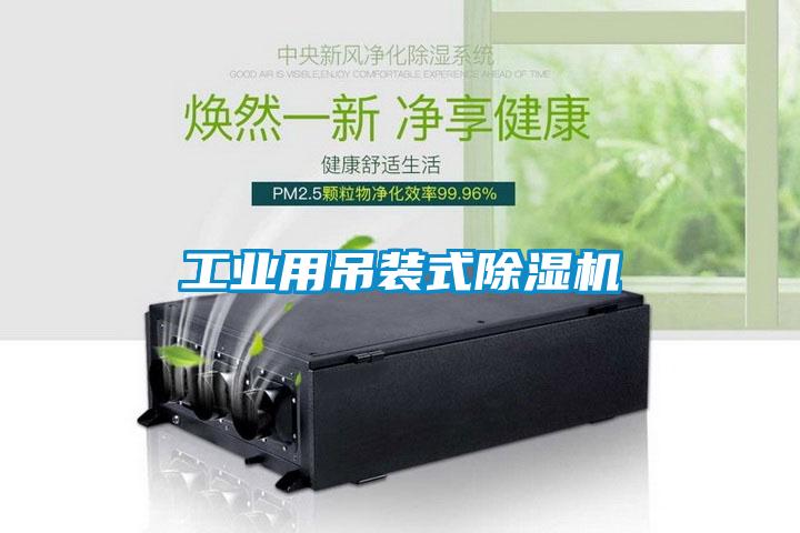工业用吊装式草莓视频APP在线观看