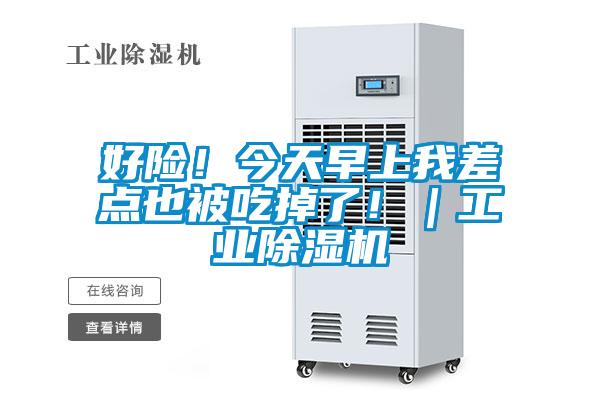 好险！今天早上我差点也被吃掉了！｜工业草莓视频APP在线观看