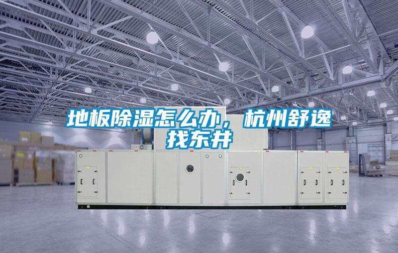 地板除湿怎么办，杭州舒逸找东井