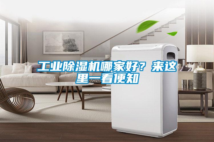 工业草莓视频APP在线观看哪家好？来这里一看便知