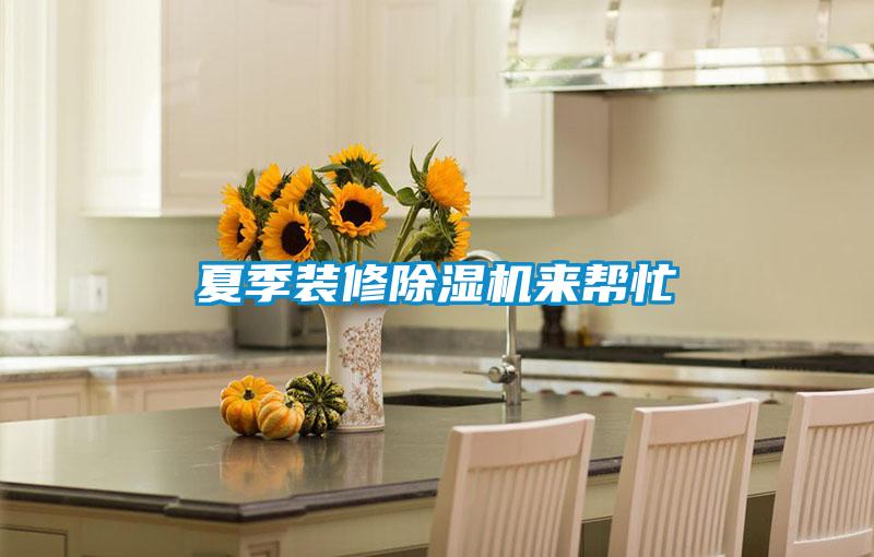 夏季装修草莓视频APP在线观看来帮忙