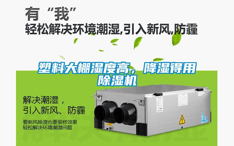 塑料大棚湿度高，降湿得用草莓视频APP在线观看