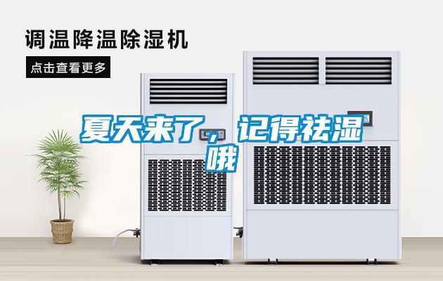 夏天来了，记得祛湿哦