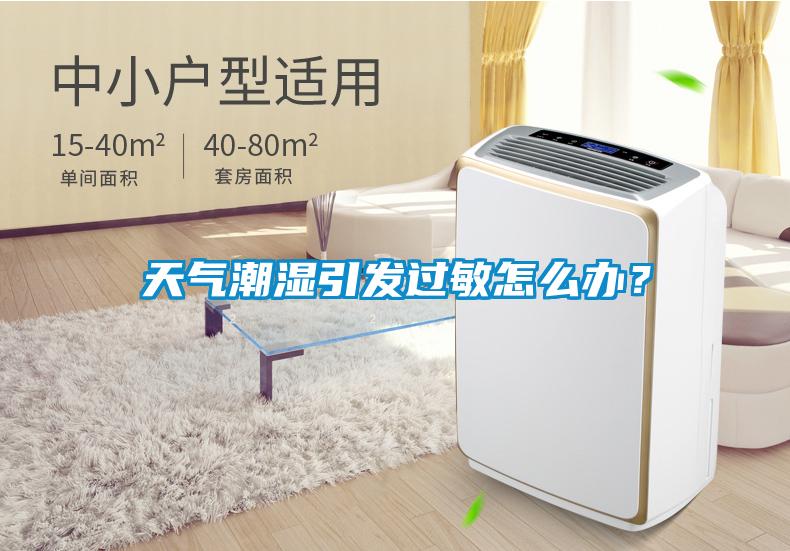 天气潮湿引发过敏怎么办？