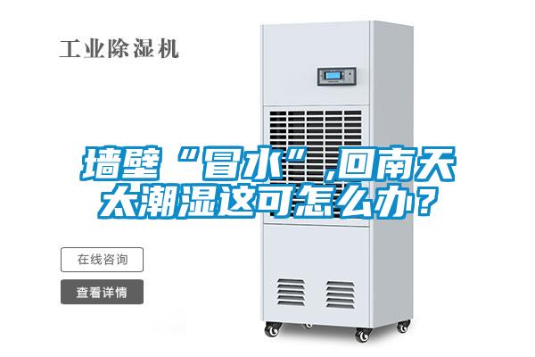 墙壁“冒水”,回南天太潮湿这可怎么办？