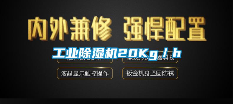 工业草莓视频APP在线观看20Kg／h