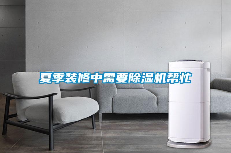 夏季装修中需要草莓视频APP在线观看帮忙