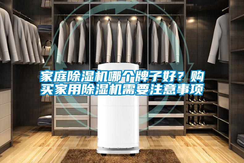 家庭草莓视频APP在线观看哪个牌子好？购买家用草莓视频APP在线观看需要注意事项