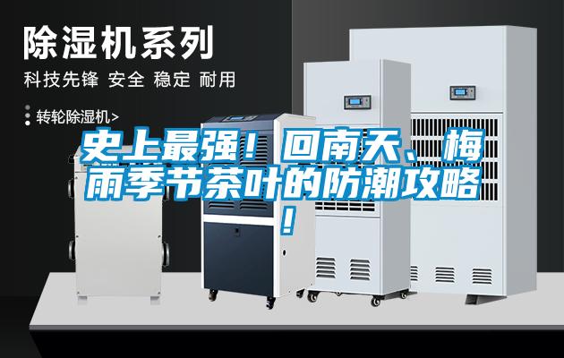 史上最强！回南天、梅雨季节茶叶的防潮攻略！