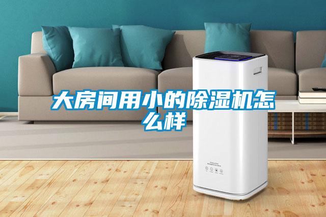大房间用小的草莓视频APP在线观看怎么样