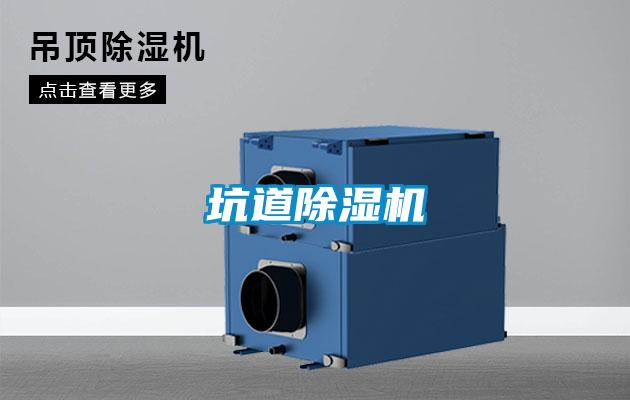坑道草莓视频APP在线观看