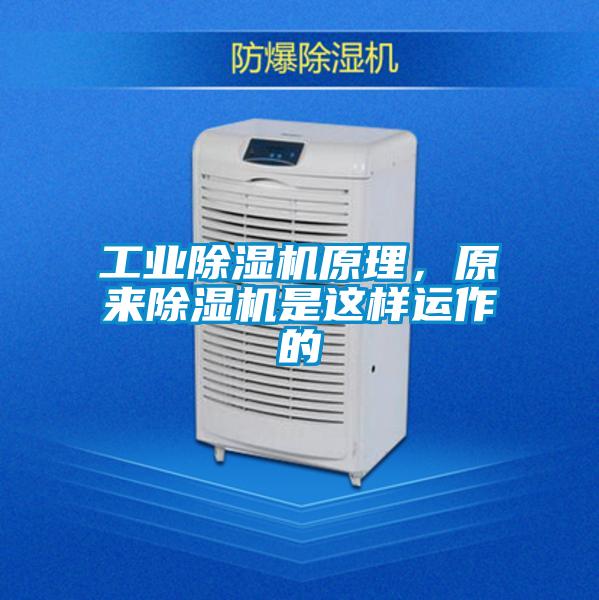 工业草莓视频APP在线观看原理，原来草莓视频APP在线观看是这样运作的