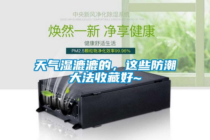天气湿漉漉的，这些防潮大法收藏好~