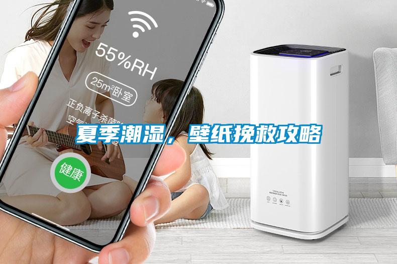 夏季潮湿，壁纸挽救攻略