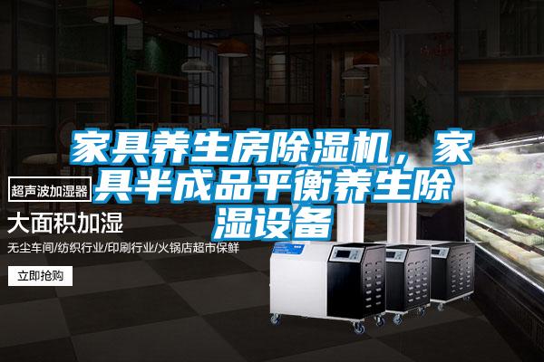 家具养生房草莓视频APP在线观看，家具半成品平衡养生除湿设备