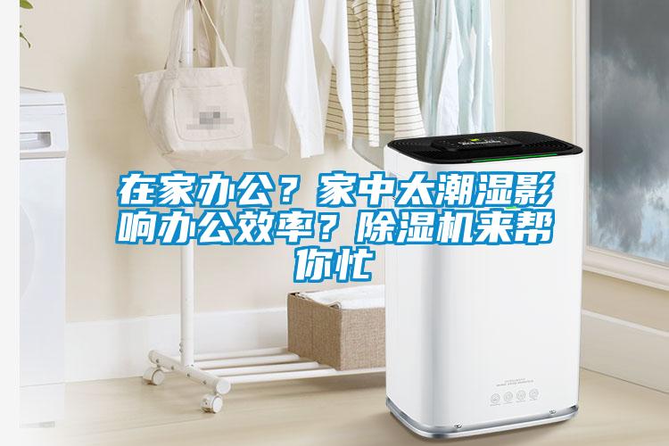 在家办公？家中太潮湿影响办公效率？草莓视频APP在线观看来帮你忙