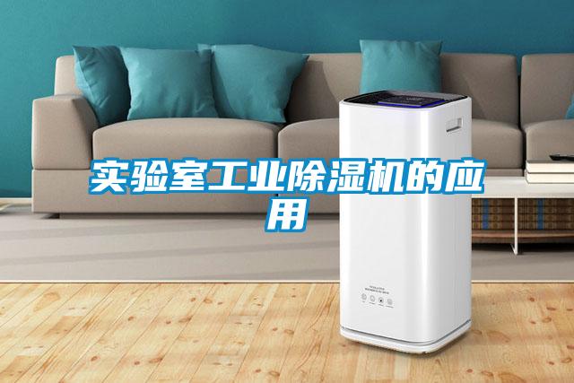 实验室工业草莓视频APP在线观看的应用