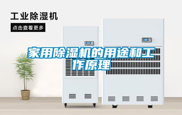 家用草莓视频APP在线观看的用途和工作原理