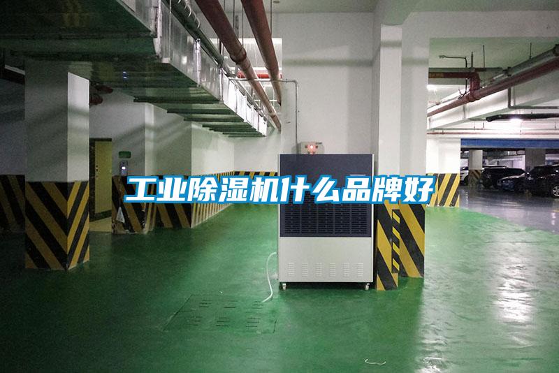 工业草莓视频APP在线观看什么品牌好