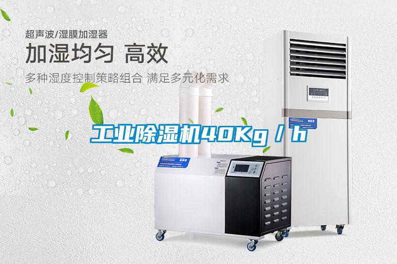 工业草莓视频APP在线观看40Kg／h
