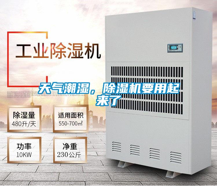 天气潮湿，草莓视频APP在线观看要用起来了