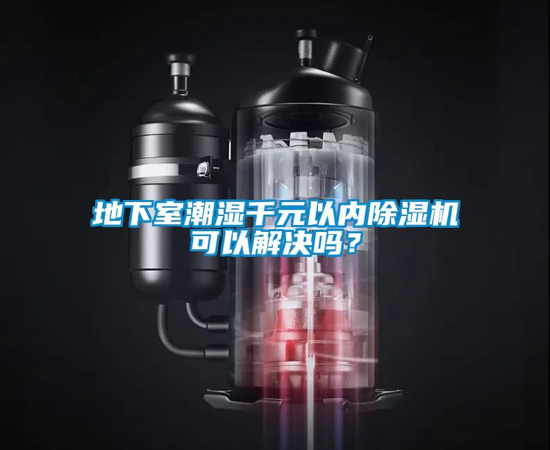 地下室潮湿千元以内草莓视频APP在线观看可以解决吗？