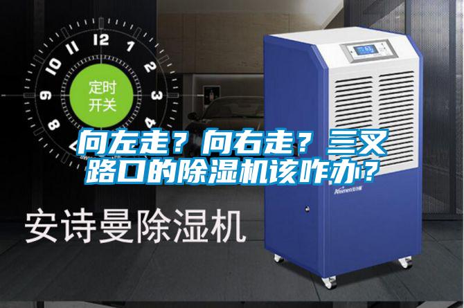 向左走？向右走？三叉路口的草莓视频APP在线观看该咋办？