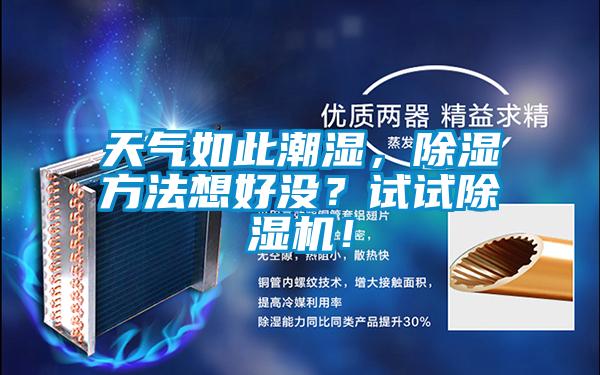 天气如此潮湿，除湿方法想好没？试试草莓视频APP在线观看！