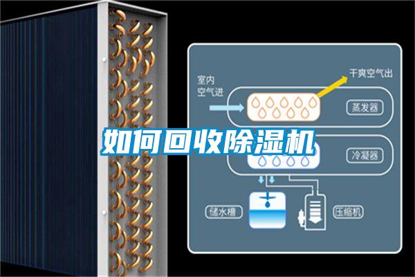 如何回收草莓视频APP在线观看