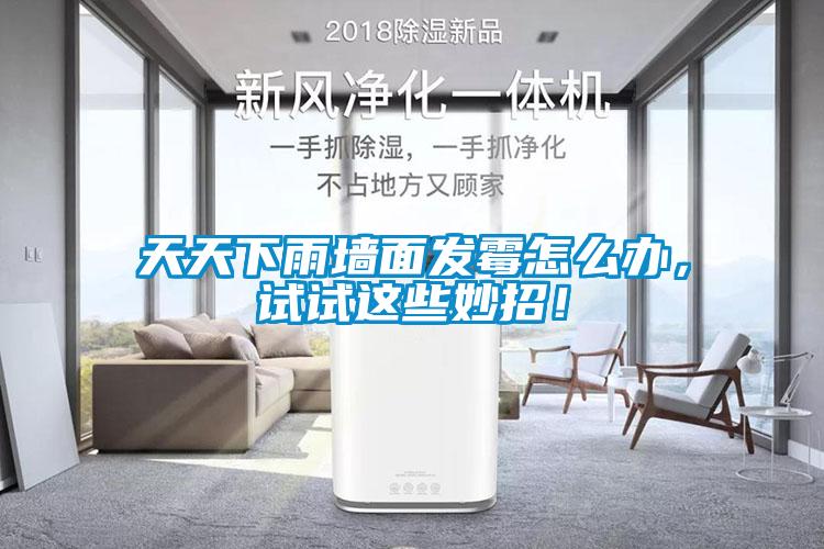 天天下雨墙面发霉怎么办，试试这些妙招！