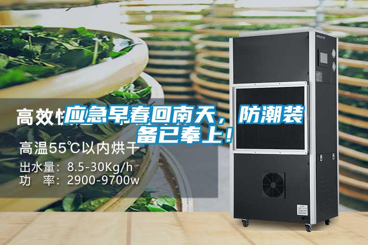 应急早春回南天，防潮装备已奉上！