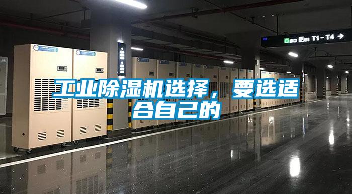 工业草莓视频APP在线观看选择，要选适合自己的