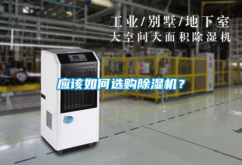 应该如何选购草莓视频APP在线观看？