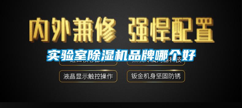 实验室草莓视频APP在线观看品牌哪个好