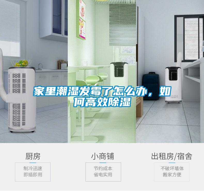 家里潮湿发霉了怎么办，如何高效除湿