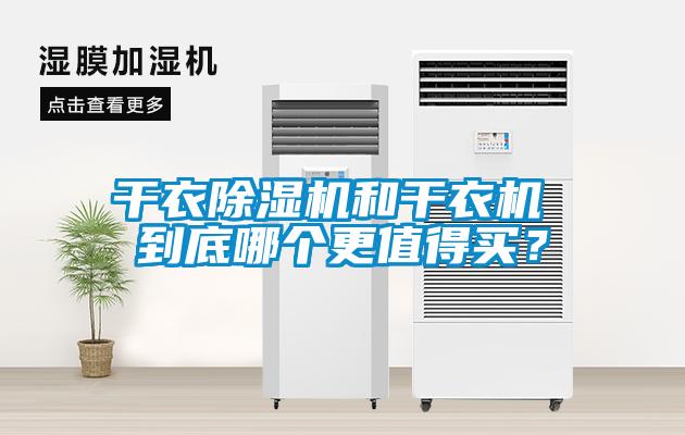 干衣草莓视频APP在线观看和干衣机 到底哪个更值得买？