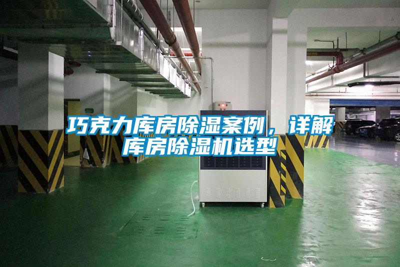 巧克力库房除湿案例，详解库房草莓视频APP在线观看选型