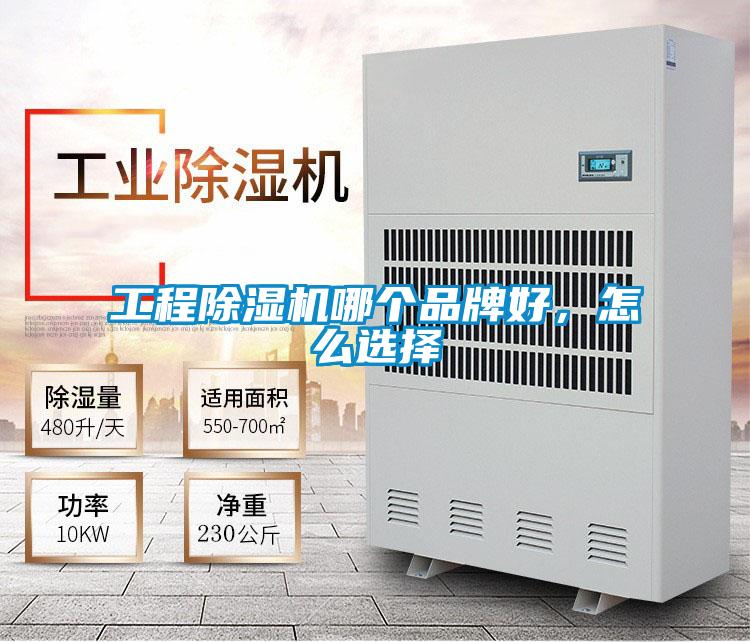 工程草莓视频APP在线观看哪个品牌好，怎么选择