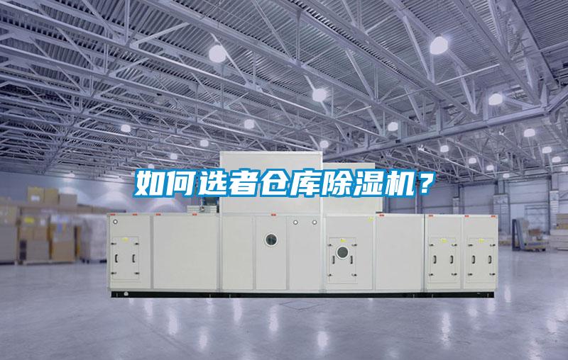 如何选者仓库草莓视频APP在线观看？
