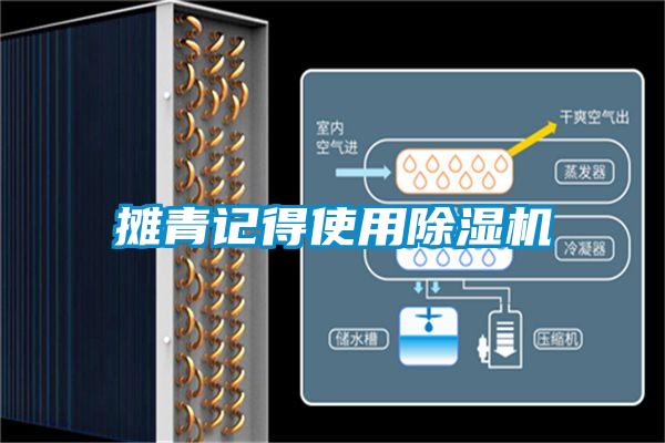 摊青记得使用草莓视频APP在线观看