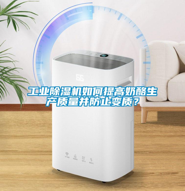 工业草莓视频APP在线观看如何提高奶酪生产质量并防止变质？
