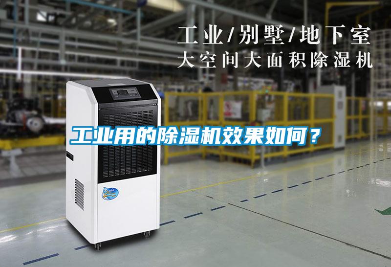 工业用的草莓视频APP在线观看效果如何？