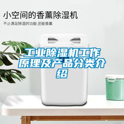 工业草莓视频APP在线观看工作原理及产品分类介绍
