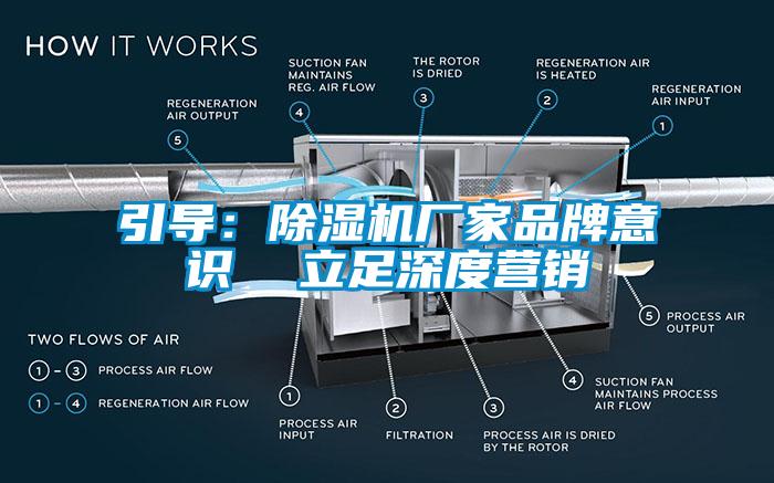 引导：草莓视频APP在线观看厂家品牌意识  立足深度营销