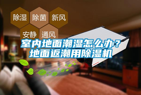 室内地面潮湿怎么办？地面返潮用草莓视频APP在线观看