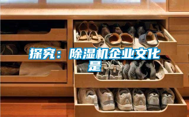 探究：草莓视频APP在线观看企业文化是